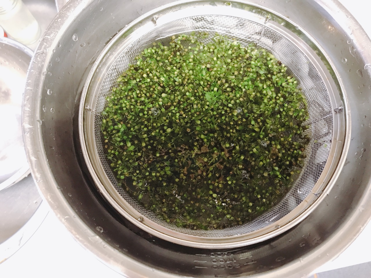 大原特産 塩漬もみ赤紫蘇1kg 徳用令和7年夏製造分- 辻しば漬本舗