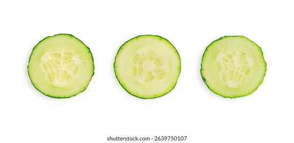 野菜と果物 断面図カード 小学校受験対策 幼児教育