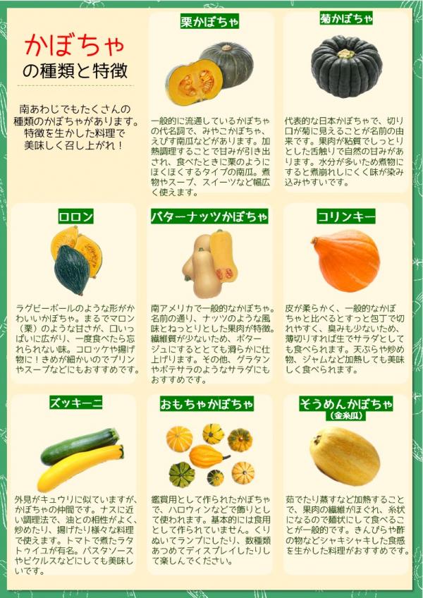 知ってた？カボチャ＋パプリカで抗酸化力がアップ：旬の食材 ヘルシーレシピ：日経Gooday グッデイ