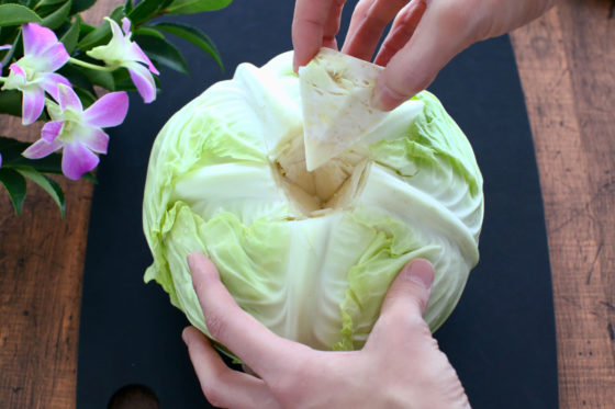 大根の葉だけじゃない！野菜の捨てがちな部位を使うレシピまとめカゴメ株式会社