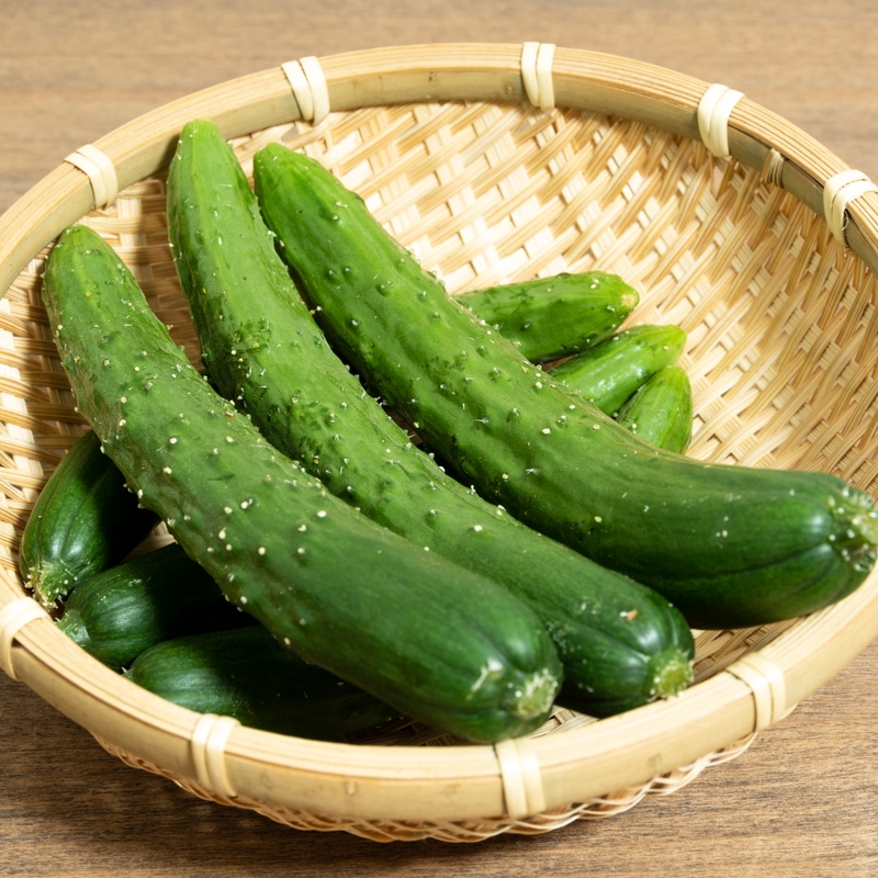 きゅうりが腐るとどうなる？傷んでるかの見分け方や漬物の場合も解説