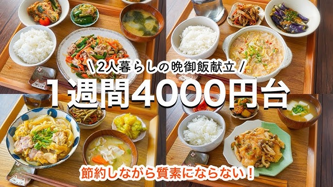 i1075-A いずみどり 親子丼の具2袋親子丼 レンジ おかず 丼 鶏肉 鶏 卵 冷凍 簡単 調理 電子レンジ 国産 安心 安全 ご飯のお供手作り三喜dショッピングふるさと納税百選