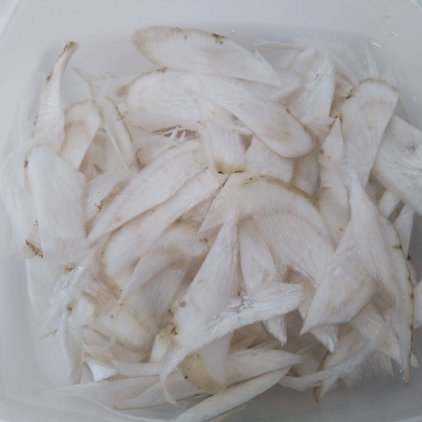 ごぼうの正しい保存方法とは？日持ちさせたいなら水洗いはNG！ - トクバイニュース