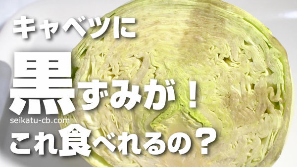 表面がドロドロに腐ったキャベツ。皮を何枚かめくったら葉は綺麗にな- Yahoo!知恵袋