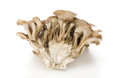 暮らし 言えますか？「キノコの石づきってどこ？」「何で食べないの？」 - 家電 Watch