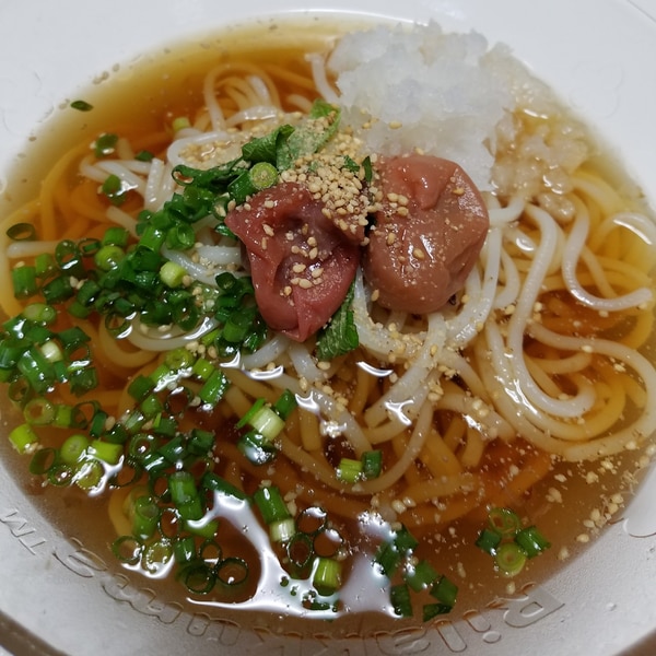 ポン酢＆めんつゆの冷やしうどん 流水麺