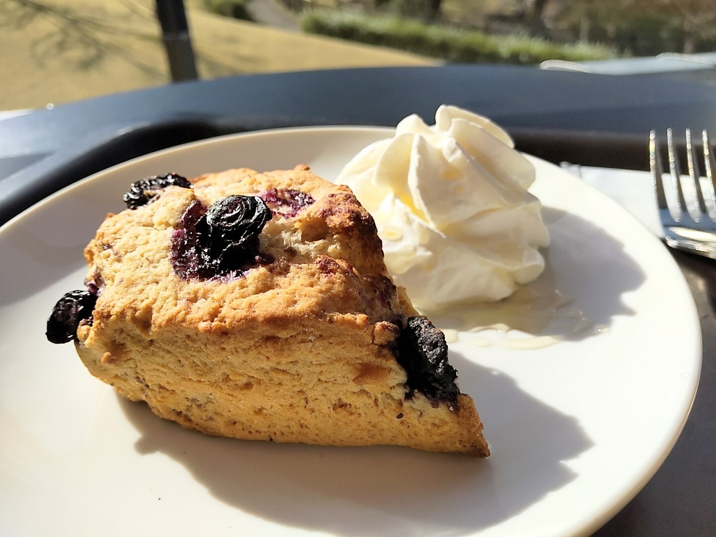 スターバックス、苺ムースのクッキーサンド＆ブルーベリーデニッシュなどクリスマス限定スイーツ - ファッションプレス