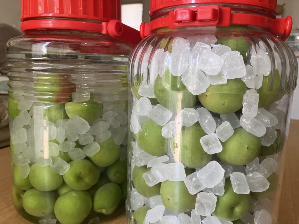 Amazon.co.jp: 完熟 紀州南高梅 果汁50％ 濃厚 梅シロップ 500ml 無添加 濃縮還元 ノンアルコール 希釈ドリンク かき氷シロップ梅ソーダ 梅ジュース 梅 高級 南高梅 うめ : 食品・飲料・お酒