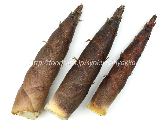 金沢たけのこの通販、加賀野菜グルメ情報サカイダフルーツ