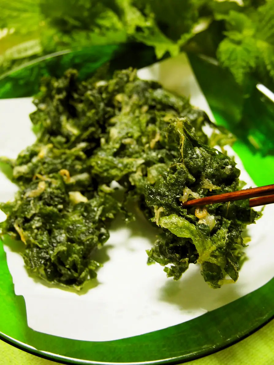 しそ・大葉のレシピ」15選おかずにおつまみ、大量消費もレシピサイトNadia