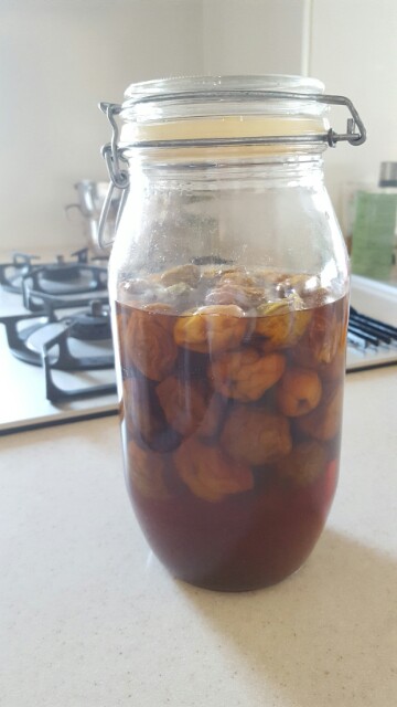 梅酒の梅 2袋セット 梅酒に入れて、おやつに、おつまみに、煮詰めてジャムに福井県若狭町ふるさと納税サイト「さとふる」