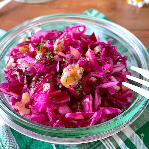 紫キャベツの無料イラストイラストセンタ