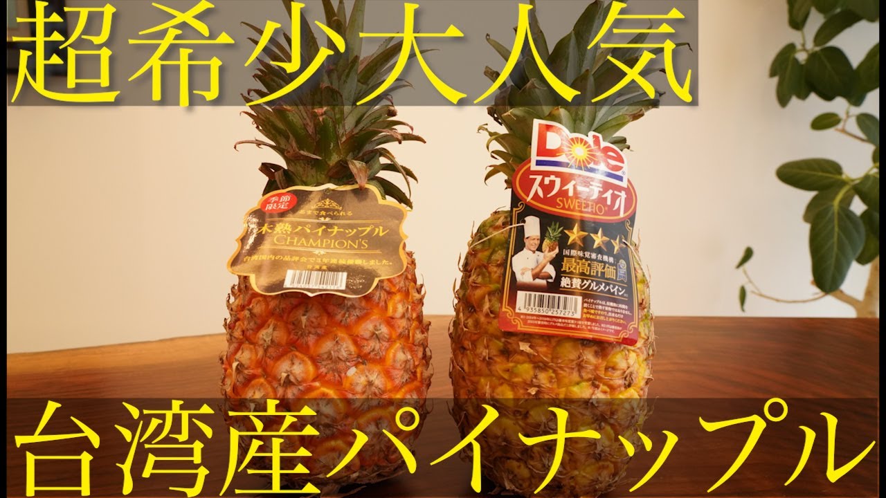 パピコ着ぐるみ制作会社キグルミックス