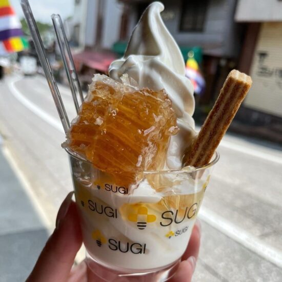 NARITA GUIDE by naritanist