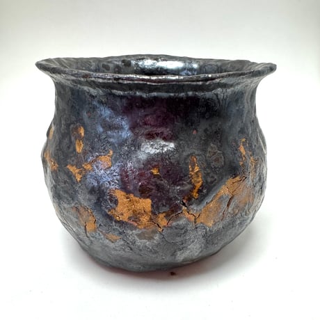 ⋆ 根上り ティファニーブルー 即完売だった豆盆栽シリーズ。 製作に時間がかかるので、また機会があれば販売します😅根上りティファニーブルー豆盆栽re盆栽rebonsaitoufutokyo鈴木良夫yoshiosuzuki作家bonsai盆栽drybonsaiドライ盆栽art