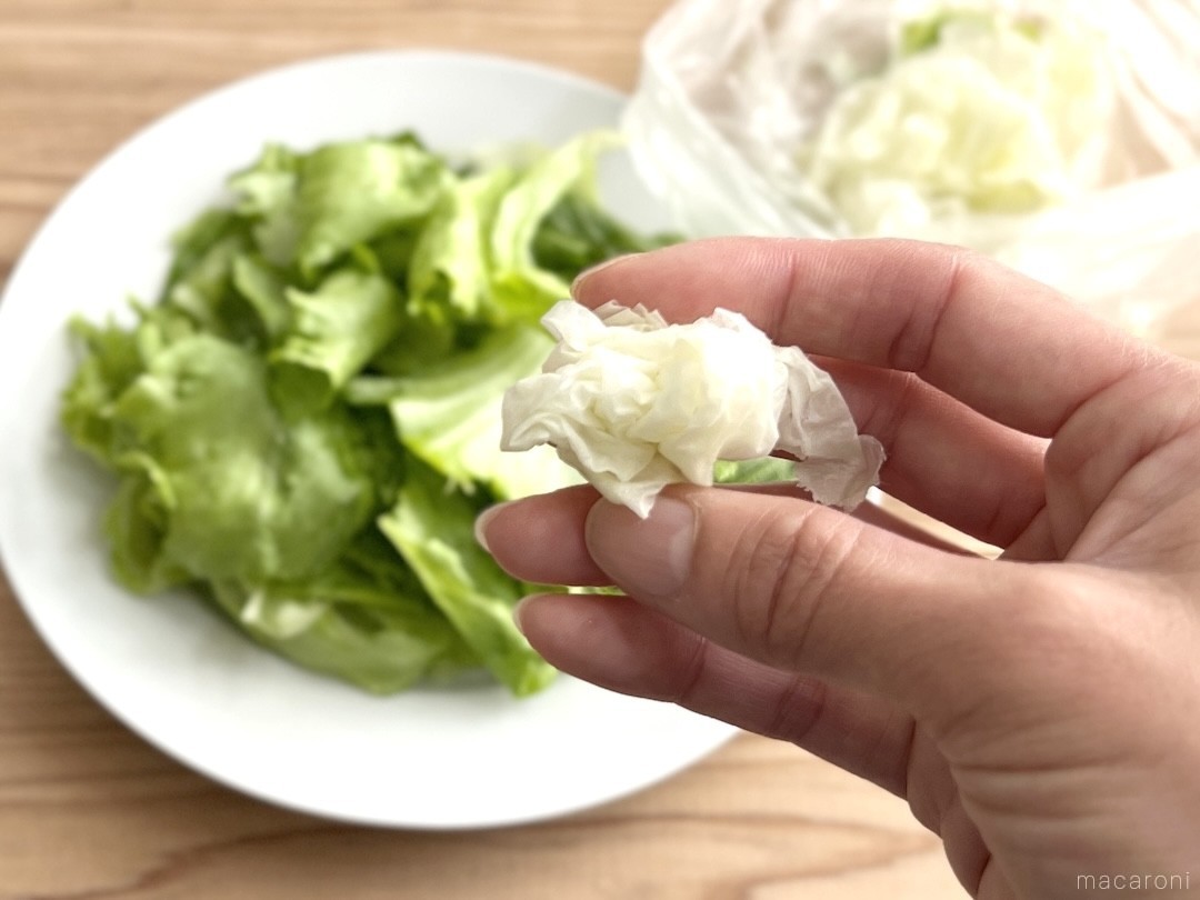 野菜の水切りはどうしてる? ラクラク簡単水切りアイデアとおすすめアイテムキナリノ