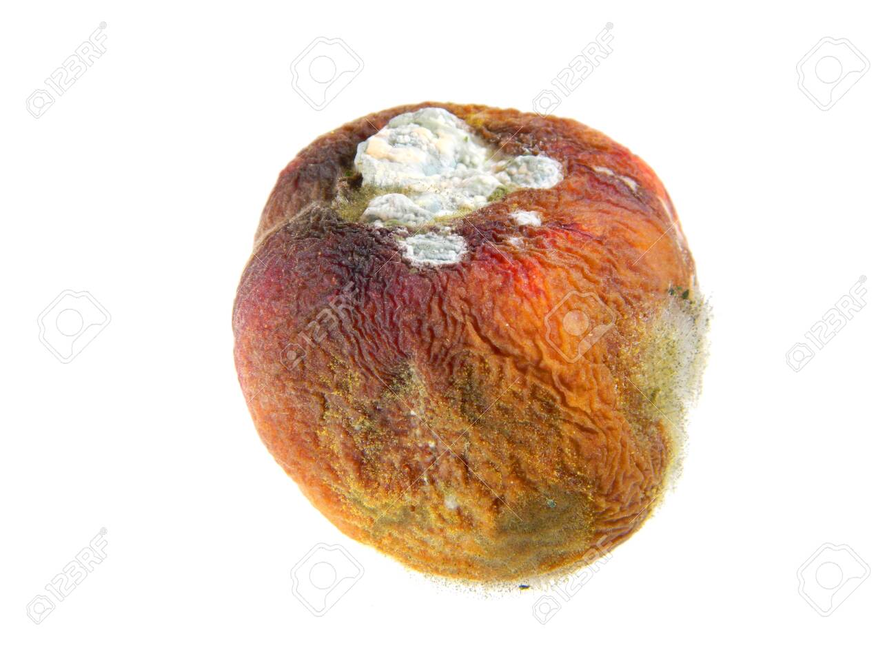 腐った桃に生えたカビの写真・画像素材-Snapmart スナップマート