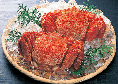 ラディッシュの葉っぱで作るナムル ＃あと一品 ＃フードロス削減 - Kei life 12