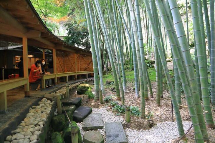 報国寺 -神奈川県 の詳細情報ことりっぷ