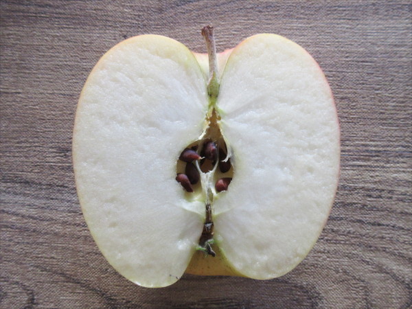 クリスマスの動機 - 白い背景の赤いりんごの断面図の写真素材・画像素材 Image 2133976