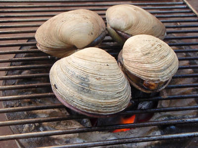 焼き大あさり第二だるま寿し