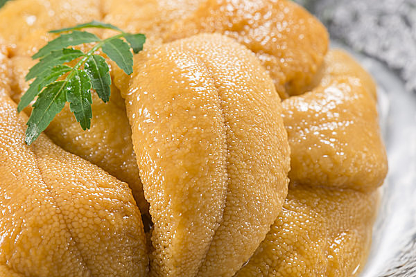 命尽きても守り抜く！天敵に襲われ死んでも動くウニ棘の思い！？うみ遊びの旅をしよう♪愛知県清須市と西尾市に あるダイビングとスノーケリング専門のお店なぎさひろい