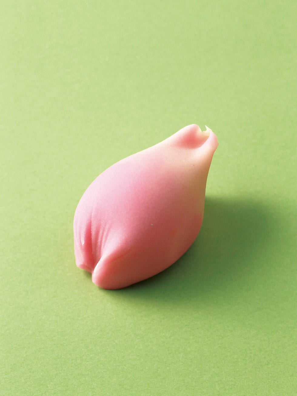 京都『紫野源水』松の翠。すり蜜の食感がたまらない一口ようかん。 - お菓子を巡る暮らしの雑記帖