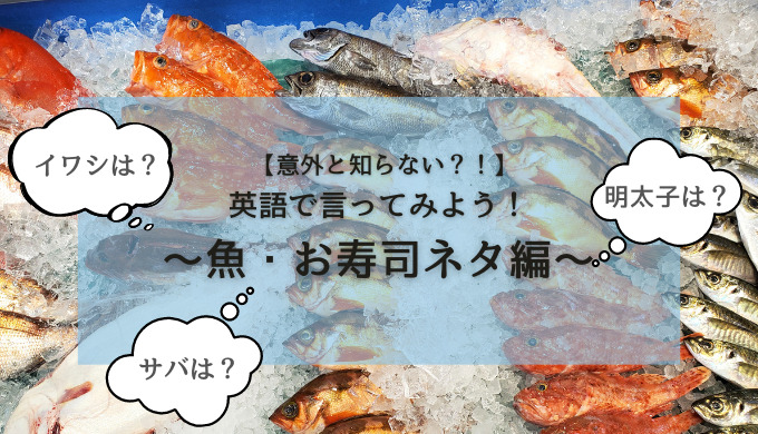 すしネタを英語で翻訳してみる。 Japanese→EnglishSushi Sakana design
