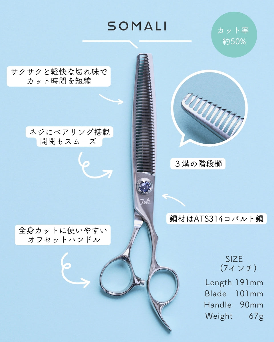 ひっそりFF11日記 シニスターレイン