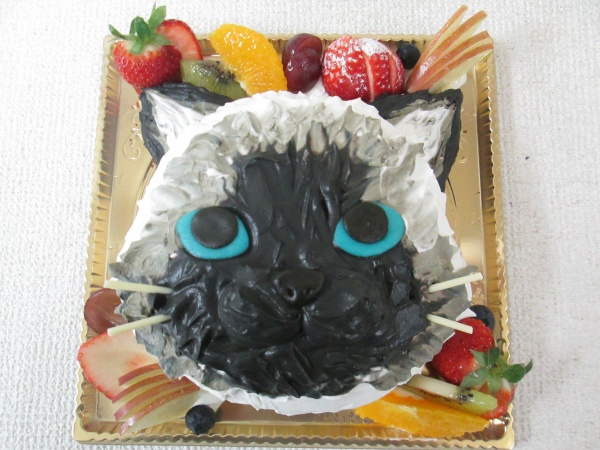 イオン限定！猫の形のココアチーズケーキがココアとチーズケーキの相性の良さを実感するおいしさ！ かなざわ- エキスパート - Yahoo!ニュース