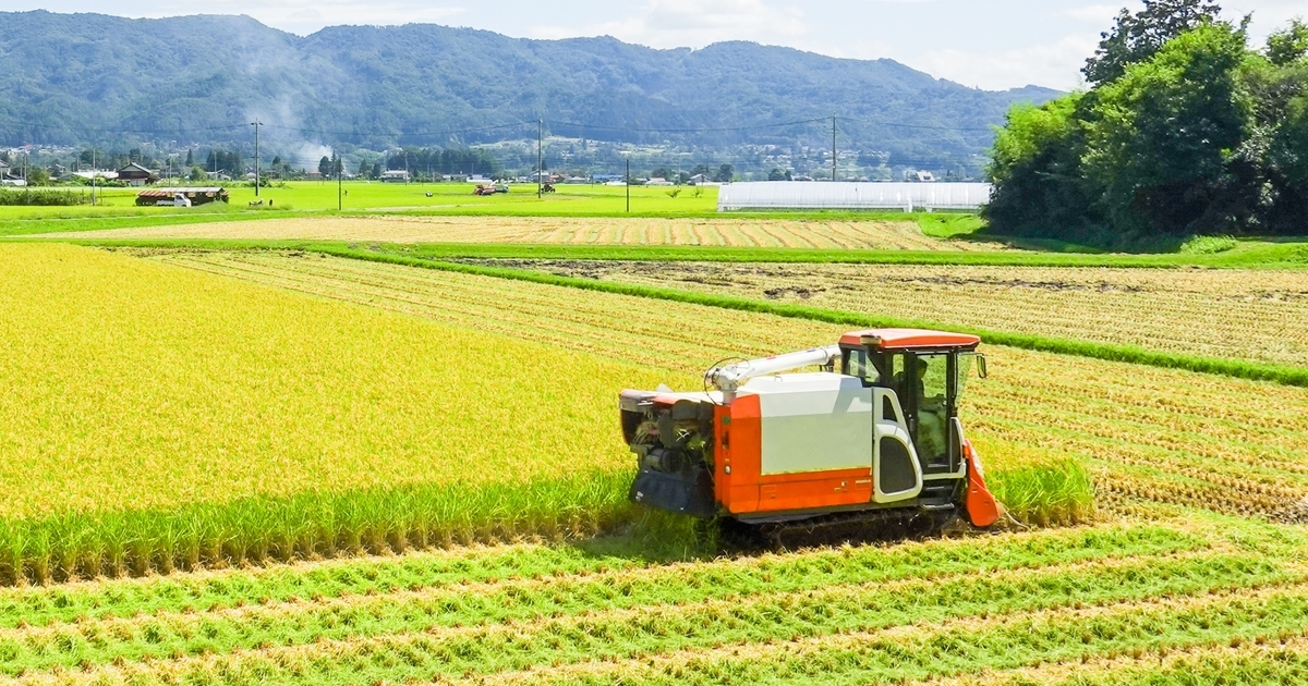 稲刈りの季節本番！はぜ掛け？はざ掛け？稲木掛け？ - ノウキナビブログ農機情報をお届け中