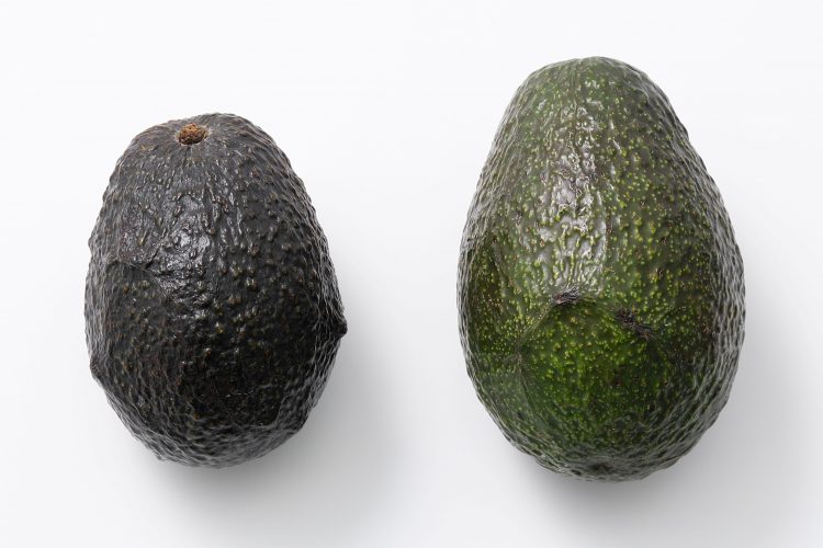 食べてはいけない『アボカド』７選 – シュフーズ