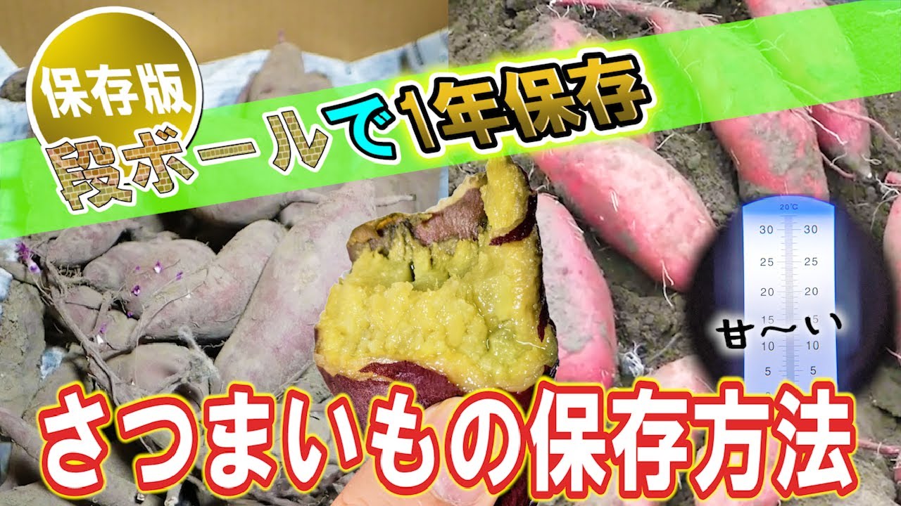 さつまいもは冷凍保存できる？ おいしさを保つには生のまま冷凍がおすすめ