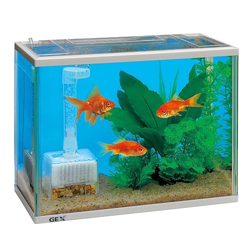 あなたの金魚にピッタリの水槽を探そう！ 熱帯魚 観賞魚 アクアリウム用品 ジェックス株式会社