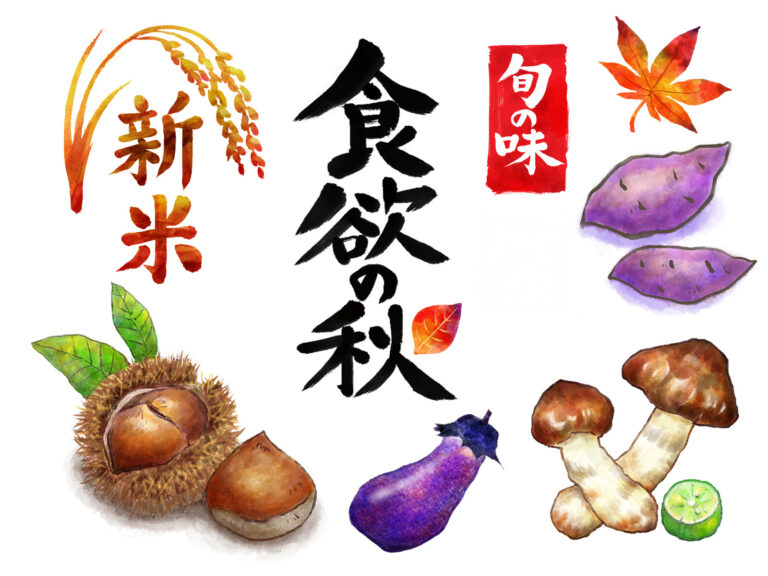 11月の旬食材といえば？人気の食べ物ランキングTOP10 - macaroni