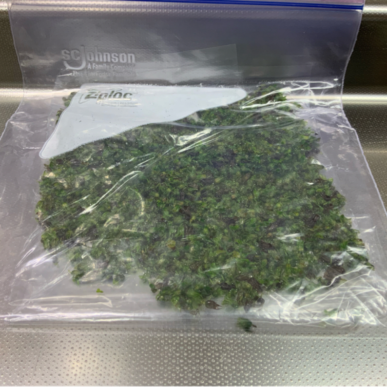 作り置き しその実の佃煮『しびれる辛さがやみつきになる美味しさ！！』