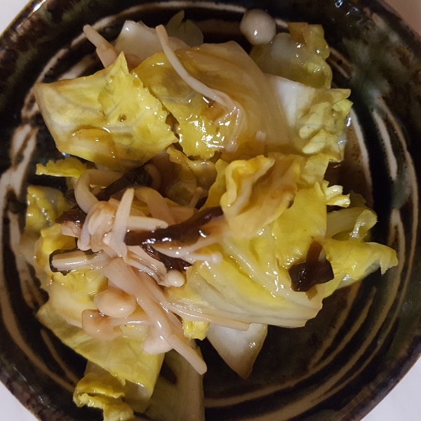 本日更新YouTube レンジ簡単！人気きのこ小鉢シリーズ「えのきと白菜の中華和え」なかのきのこ新聞Web
