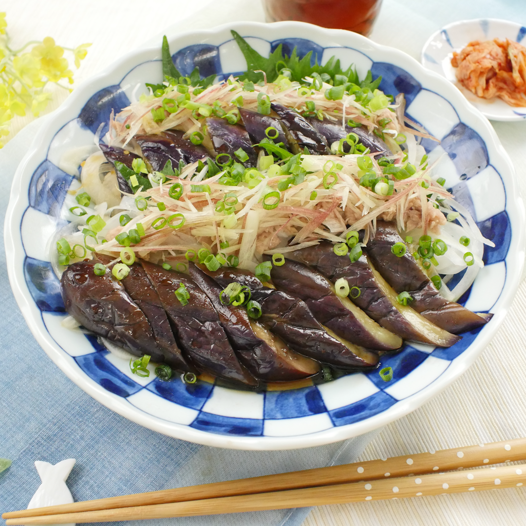 マツコも衝撃受けた 薬味たっぷりなすのたたき「なす」が秒で消える！「とんでもなくウマい食べ方」何度でも食べたいわヨムーノ