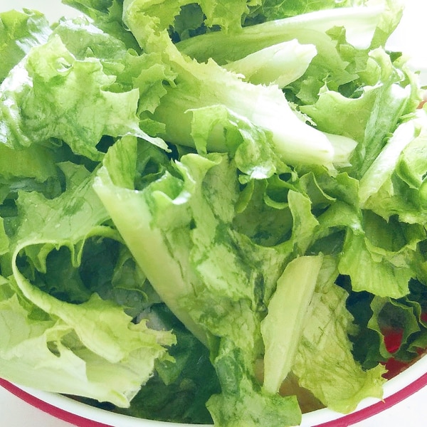 レタス 茶色く変色しない保存方法 生活のアイデア暮らしニスタ