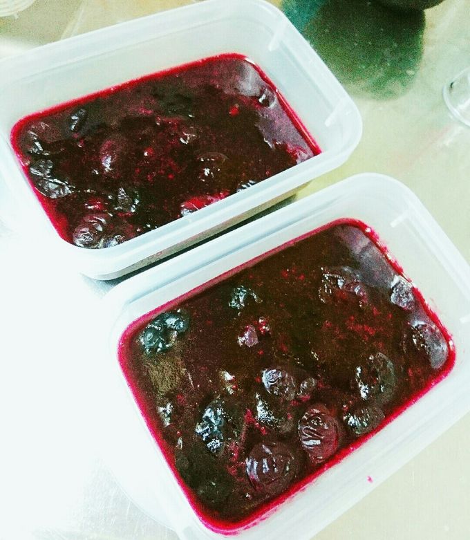 ブルーベリー大量消費ハープ猫♡小太郎の ゆるふわ日記