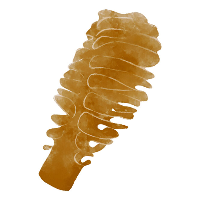 Splatoonフリーアイコンまとめ٥魔子