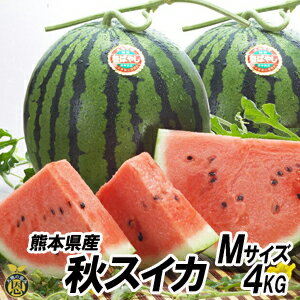 厳選！糖度１３～１４度の甘い極上大玉大栄スイカ産地直送鳥取高間商店