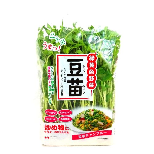 葉の表は緑、裏は紫。綺麗な加賀野菜、水前寺菜の 金時草 の特徴！徳島の産直市 喜多野安心市 の２代目が伝えたい！やさいの話とか、農業の話とか