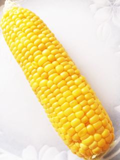 「とうもろこし」のゆで方・ゆで時間！下処理やレンジを使う時短技も紹介