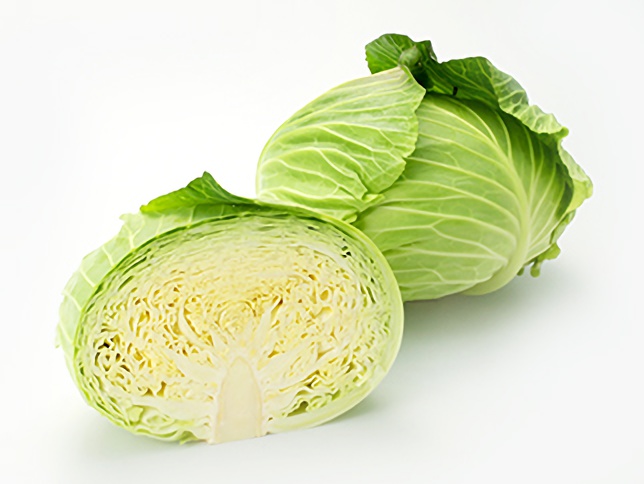 キャベツ千切りが、切る向きと冷水だけでお店のシャキッと食感にカゴメ株式会社