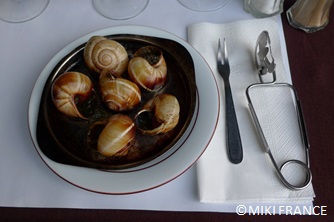 海外文化を知ろう！フランスからお届け 雨の時期に出てくるカタツムリ、食べられる？食べられない？FruitfulEnglishのおいしいブログ～英語の暮らし
