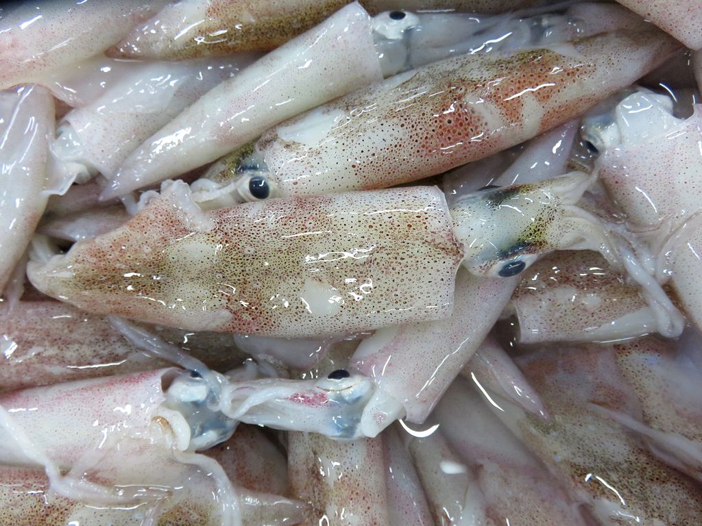 小イカのガーリックソテーマジカルキッチン