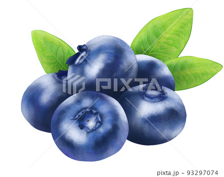 青パパイヤ商品情報下ごしらえや食べ方も紹介