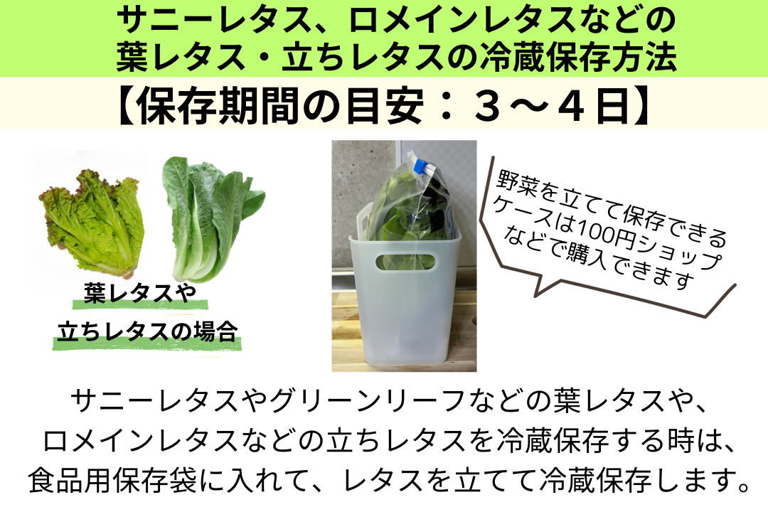 知ってた？ レタスは冷凍できるんです♡ 冷凍レタスで簡単レシピOggi.jp