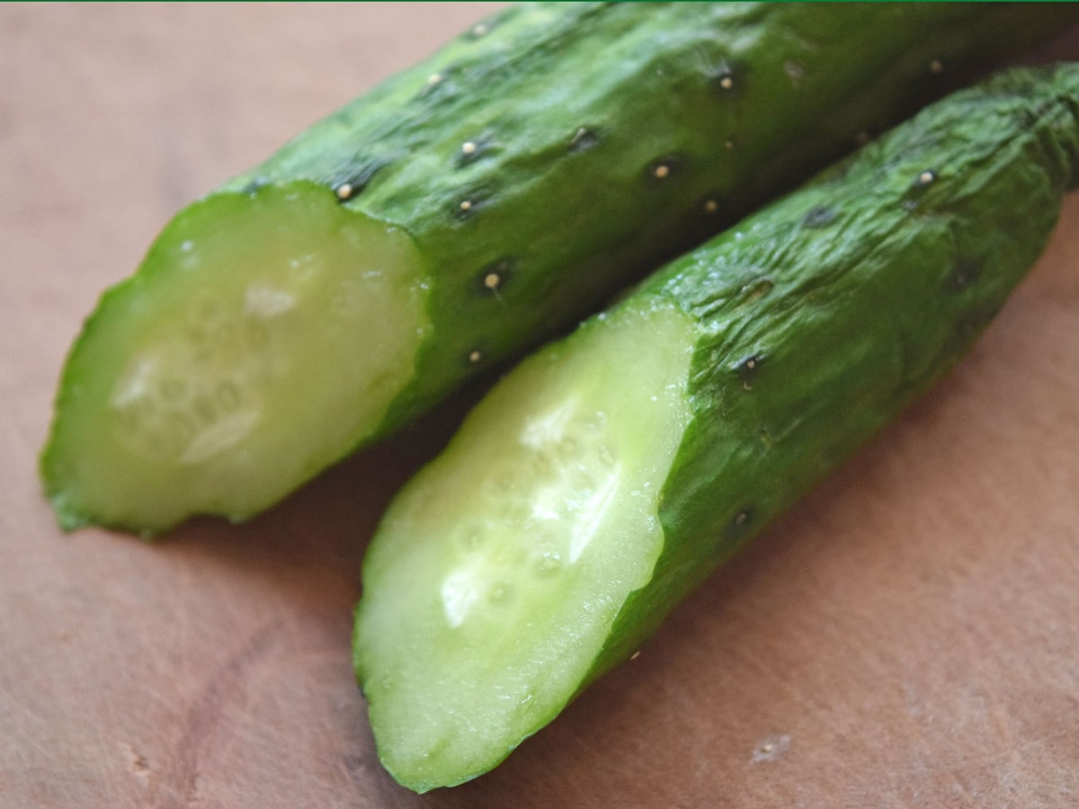 表面がぬるぬるのきゅうりは食べられる？原因と対処法を解説 - Fily